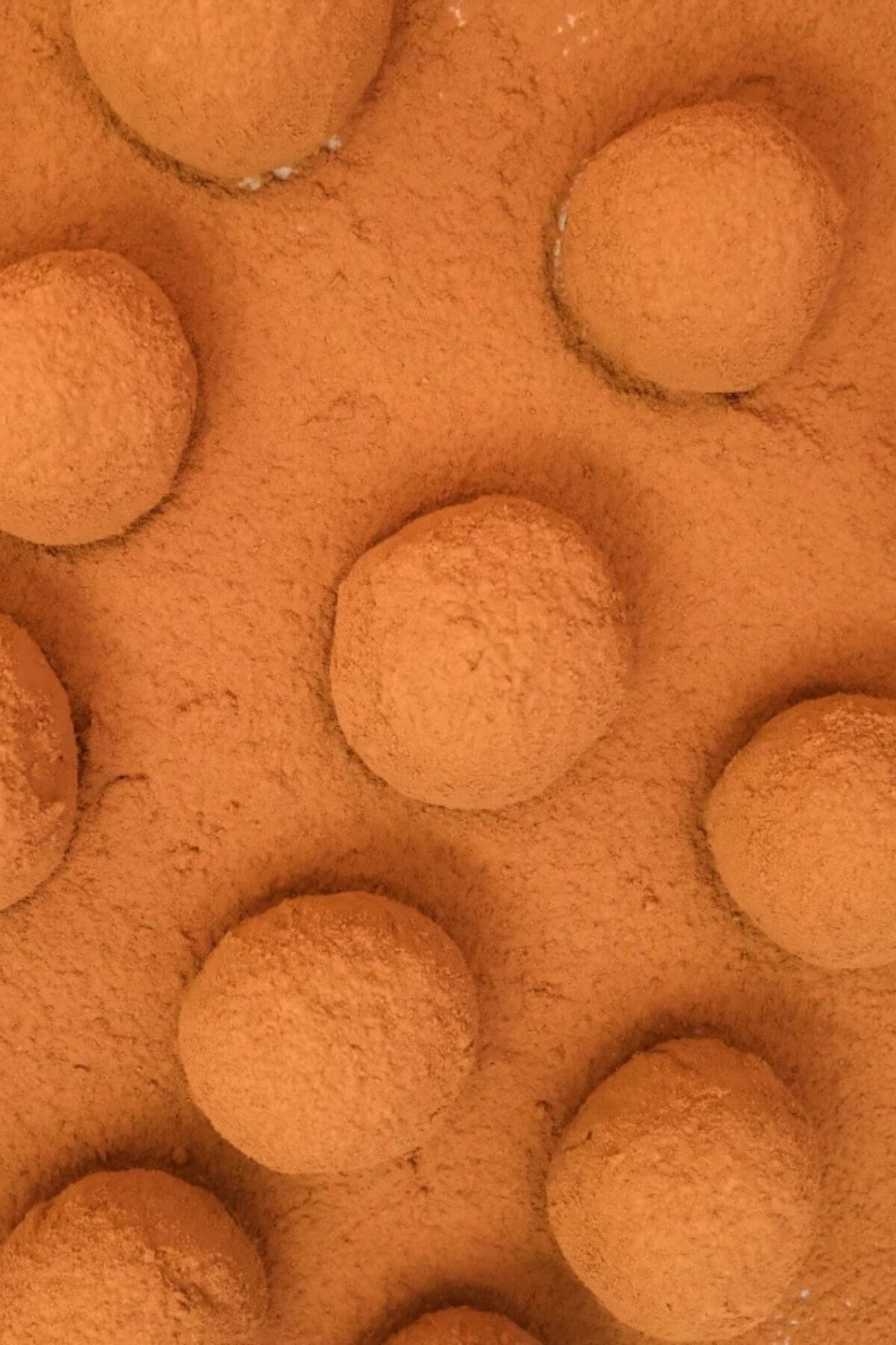 Close-up overhead view of milk chocolate truffles rolled in cocoa powder.