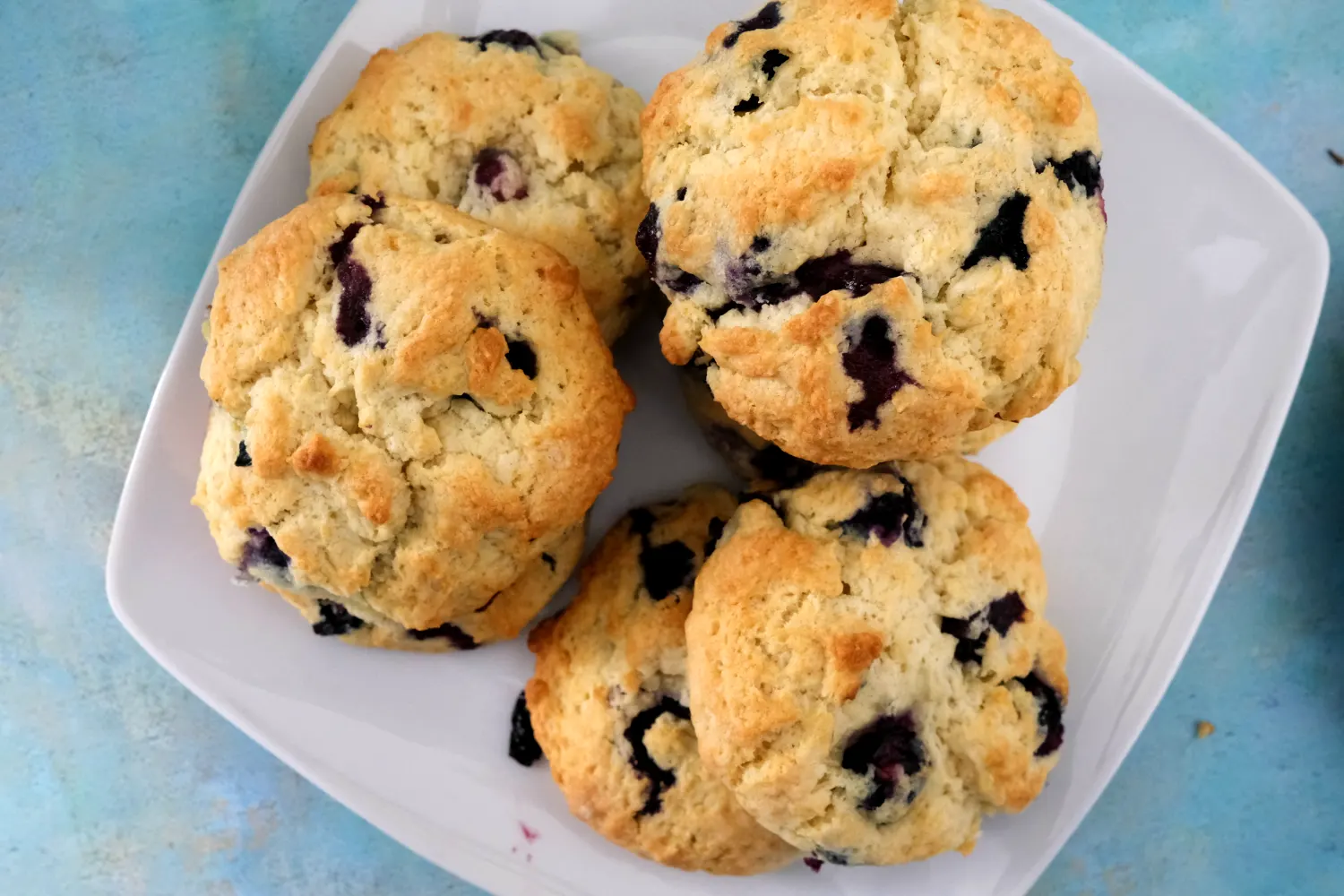 Blueberry Biscuits