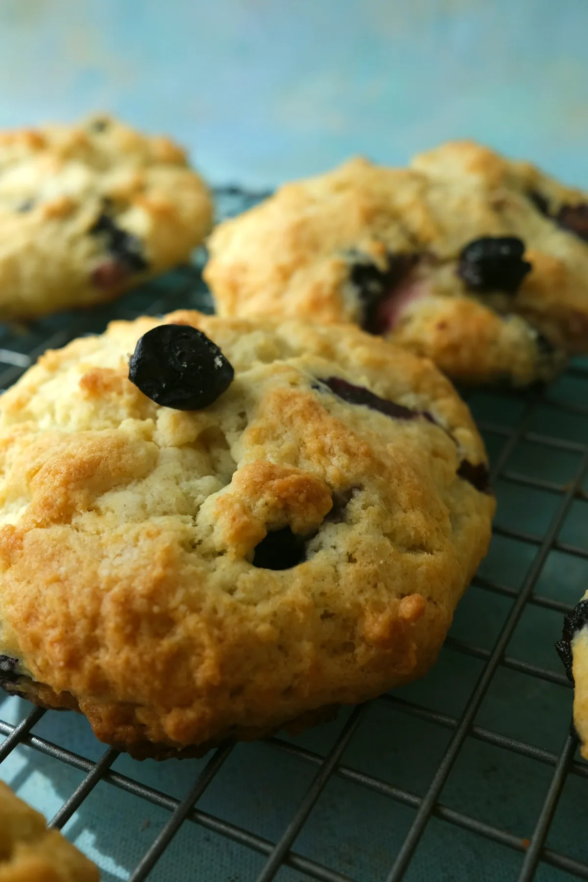 Freshly baked blueberry biscuits cooling on a wire rack, golden brown with bursts of blueberries.