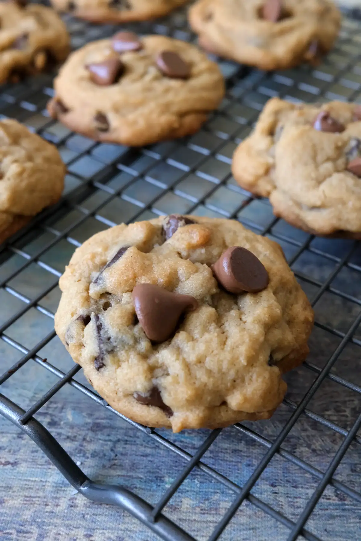 Close up of freshly baked brown sugar chocolate chip cookies cooling on a wire rack.