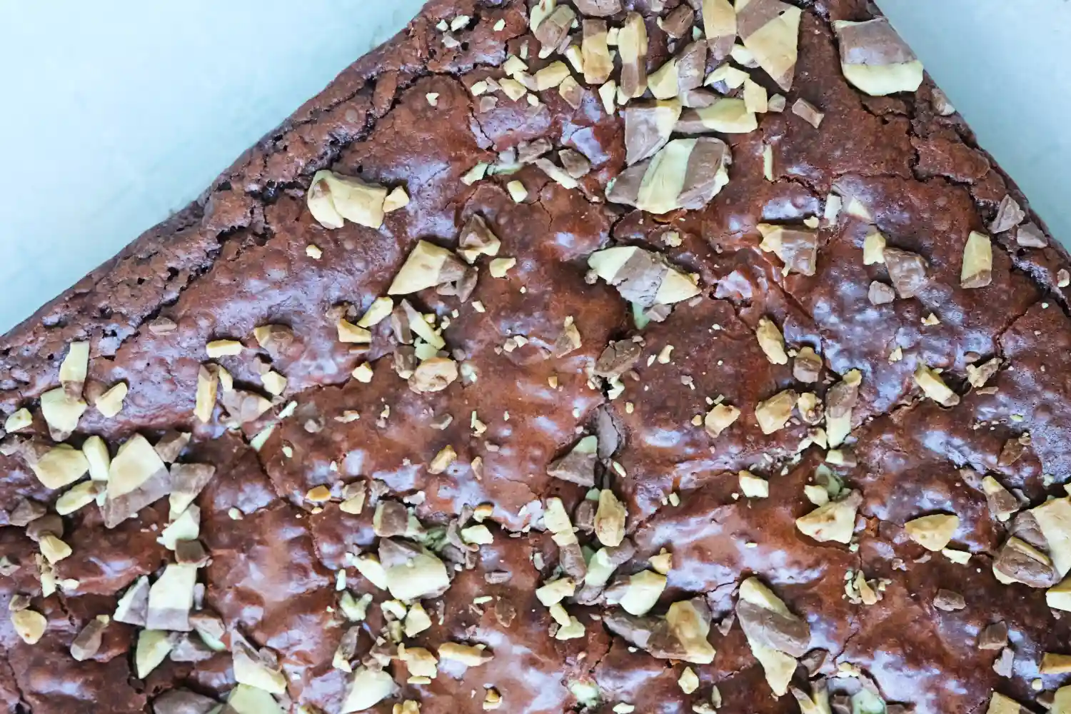 Mint Chocolate Chip Brownies