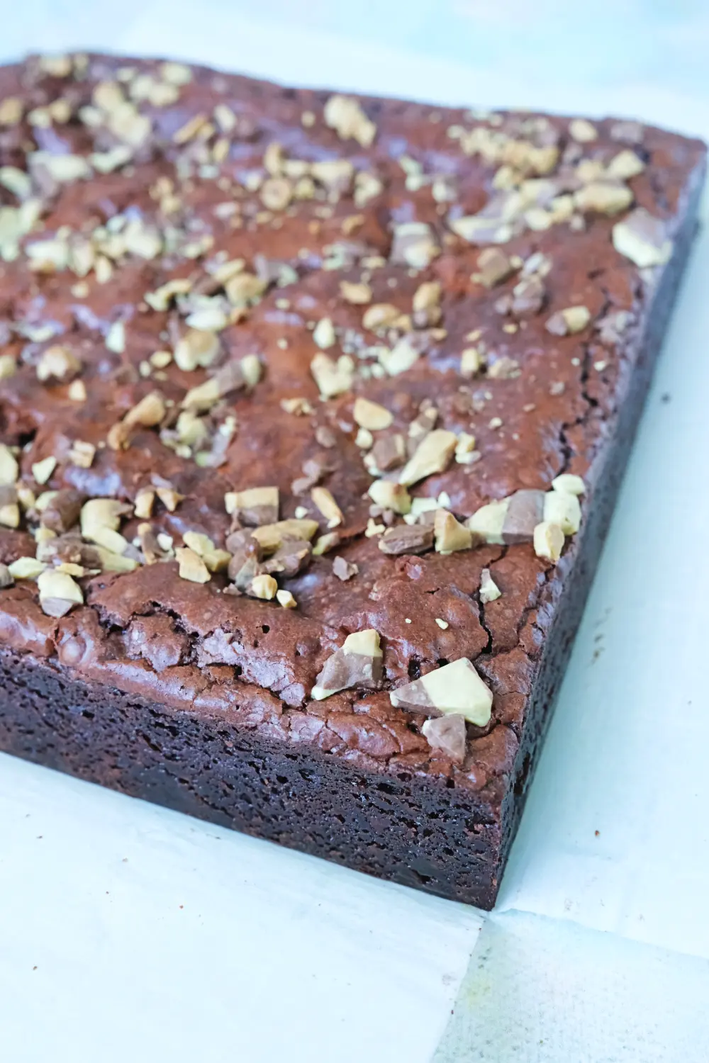 Ultra fudgy brownie with crisp top and soft dense center