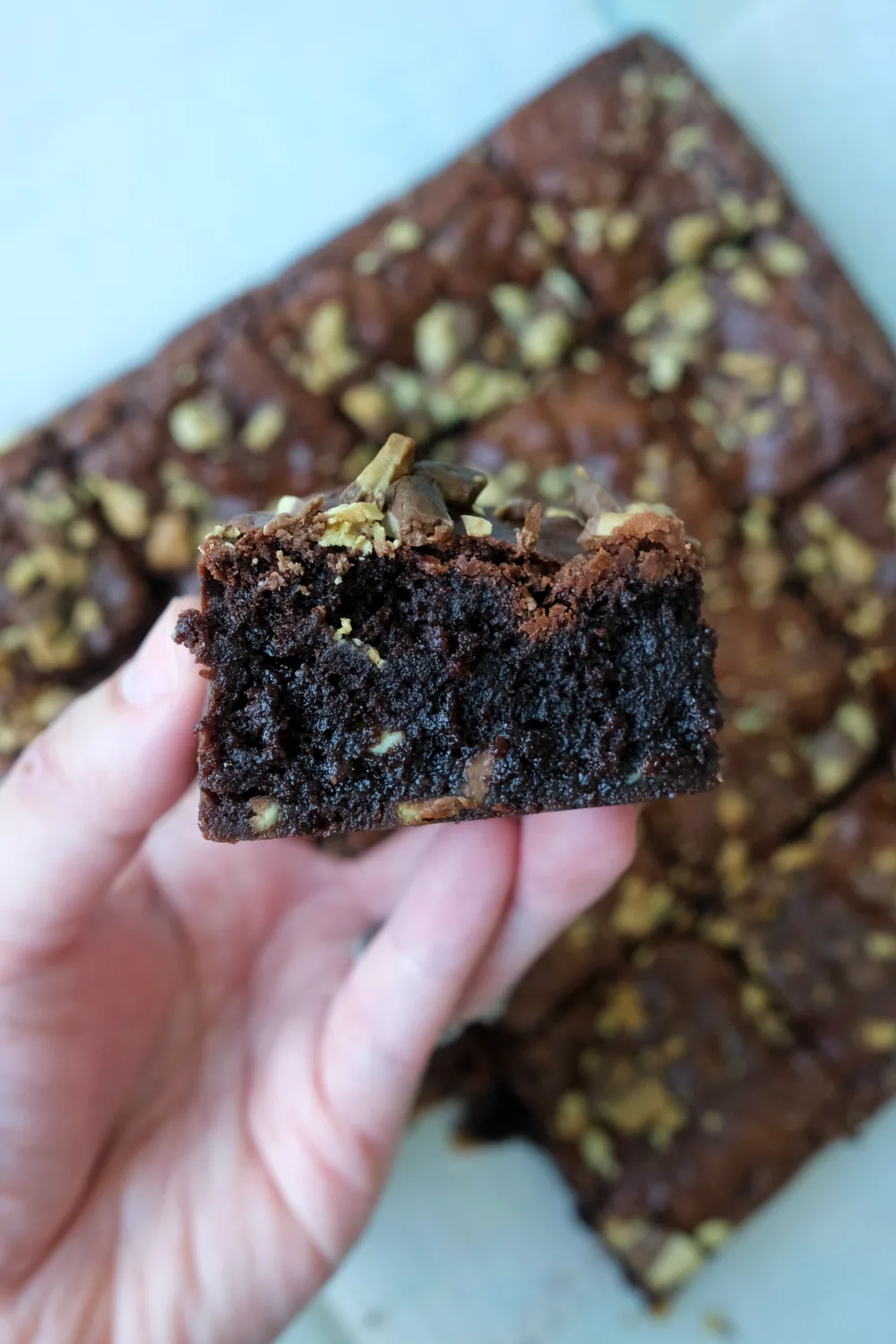 Hand holding a fudgy brownie showing moist interior and mint chocolate bits