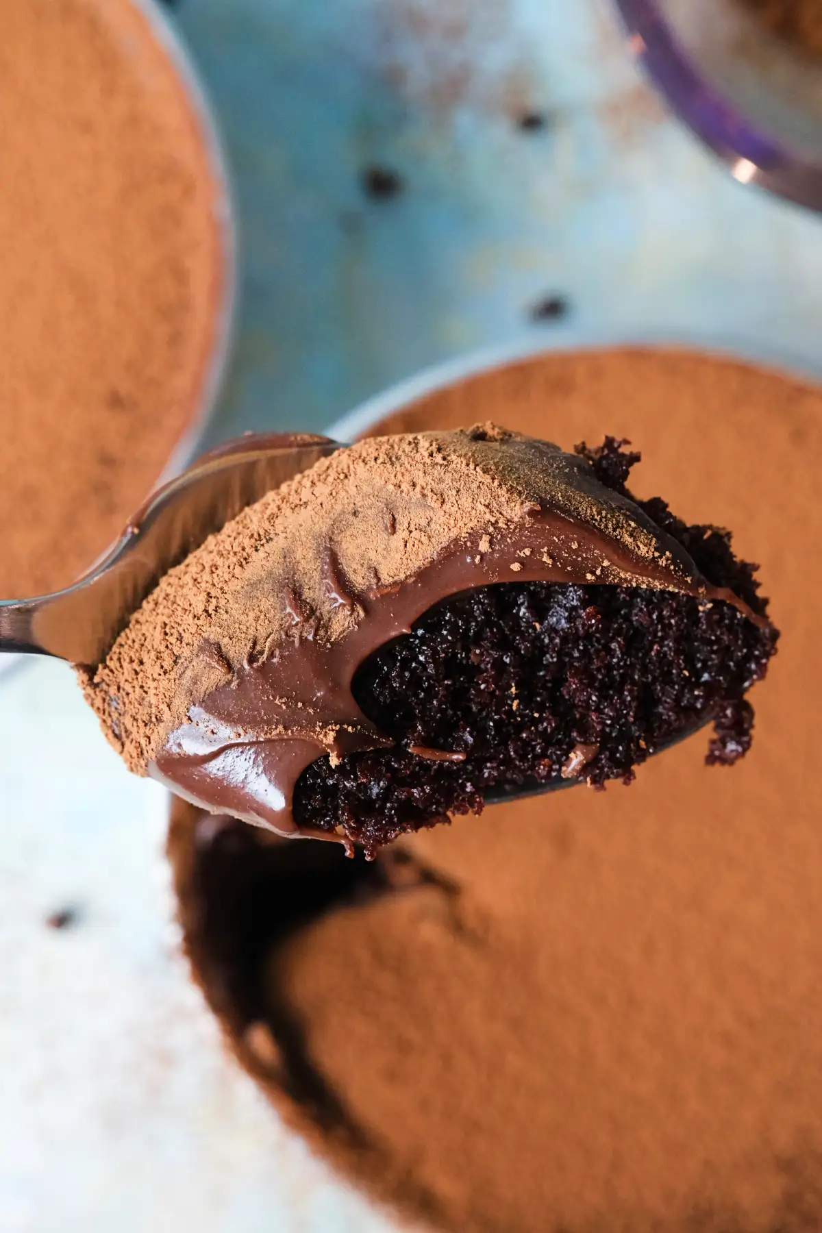 Close-up of a spoonful of chocolate cake with a rich, fudgy texture, covered in silky ganache and dusted with cocoa powder, with the remaining cake blurred in the background.