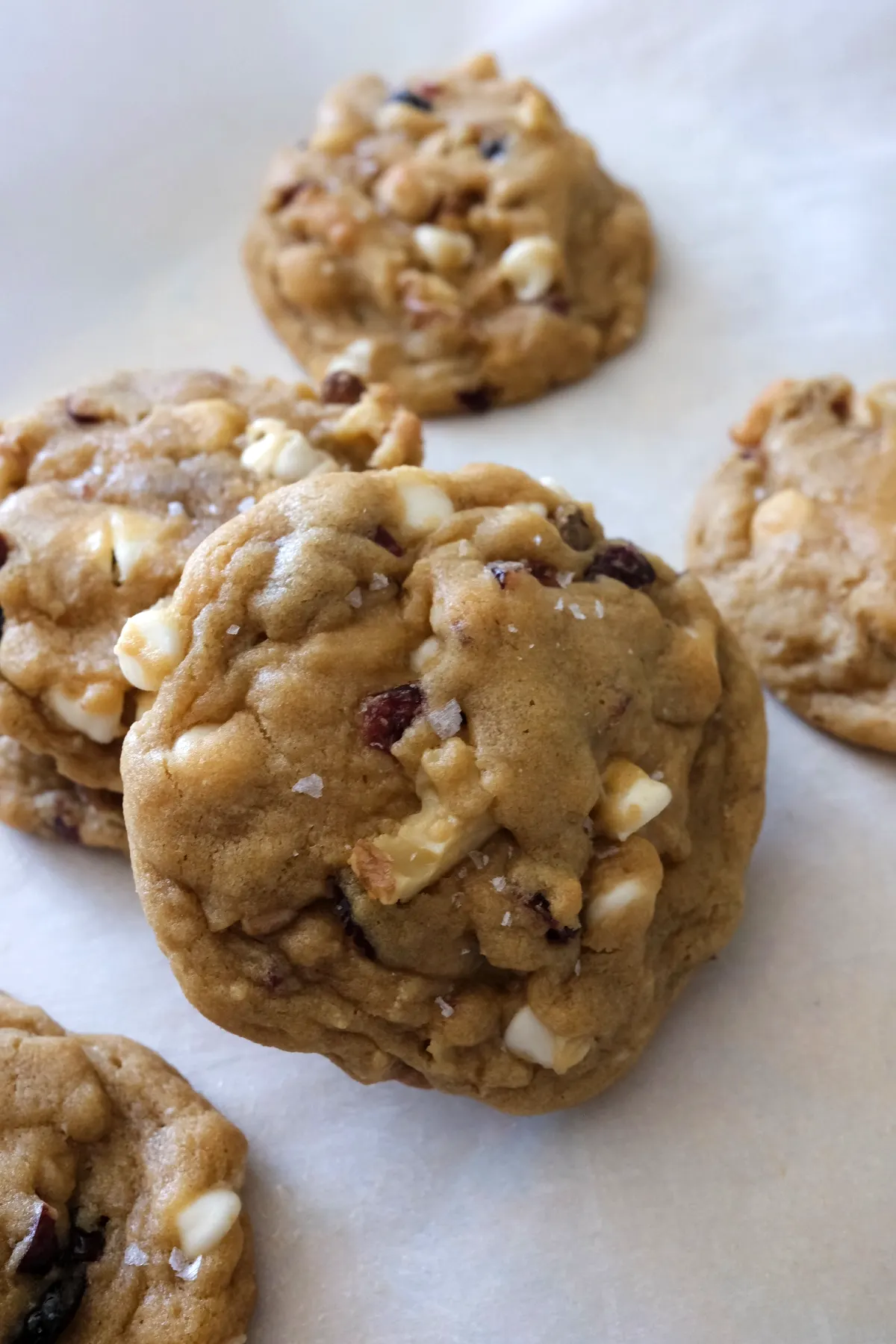 Close-up of a thick cranberry white chocolate cookie with melty white chocolate, dried cranberries, and chopped walnuts on parchment.