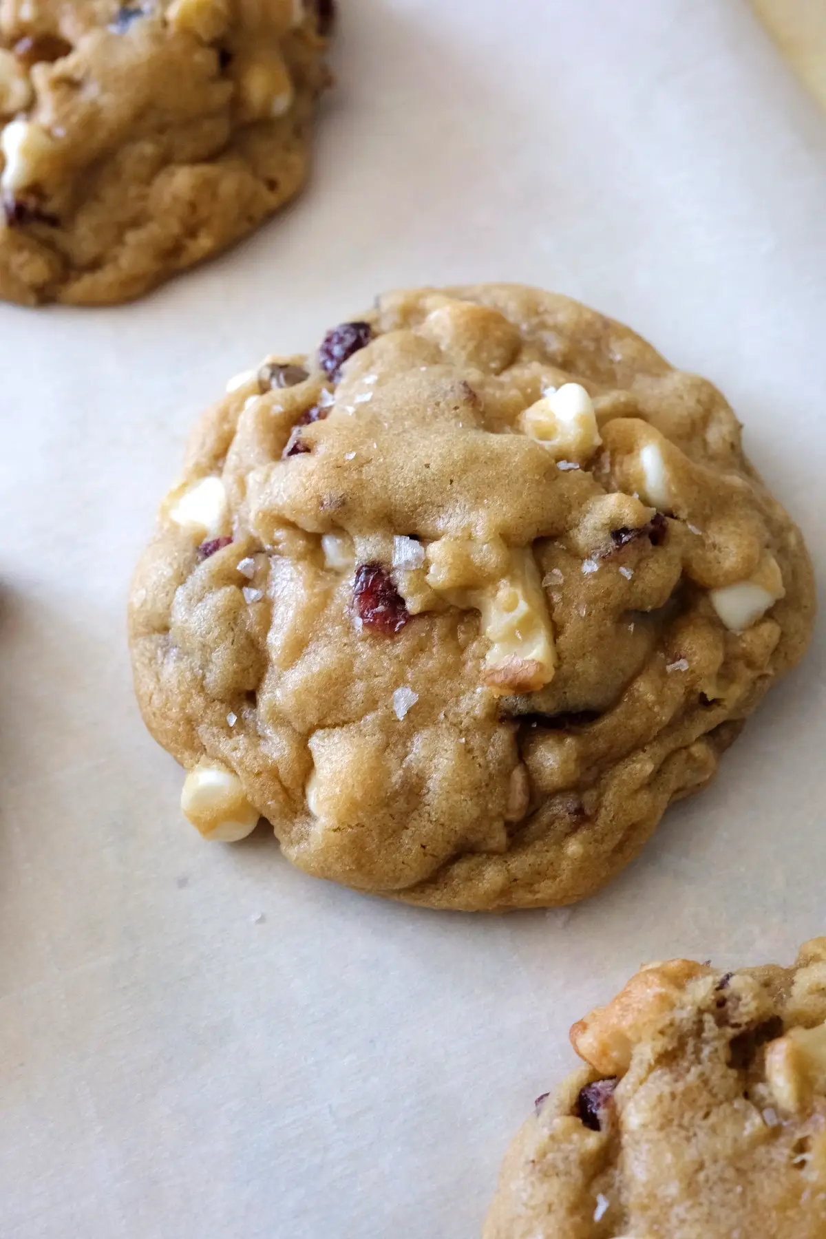 Cranberry white chocolate cookie topped with flaky sea salt, showing golden surface and gooey white chocolate chunks.