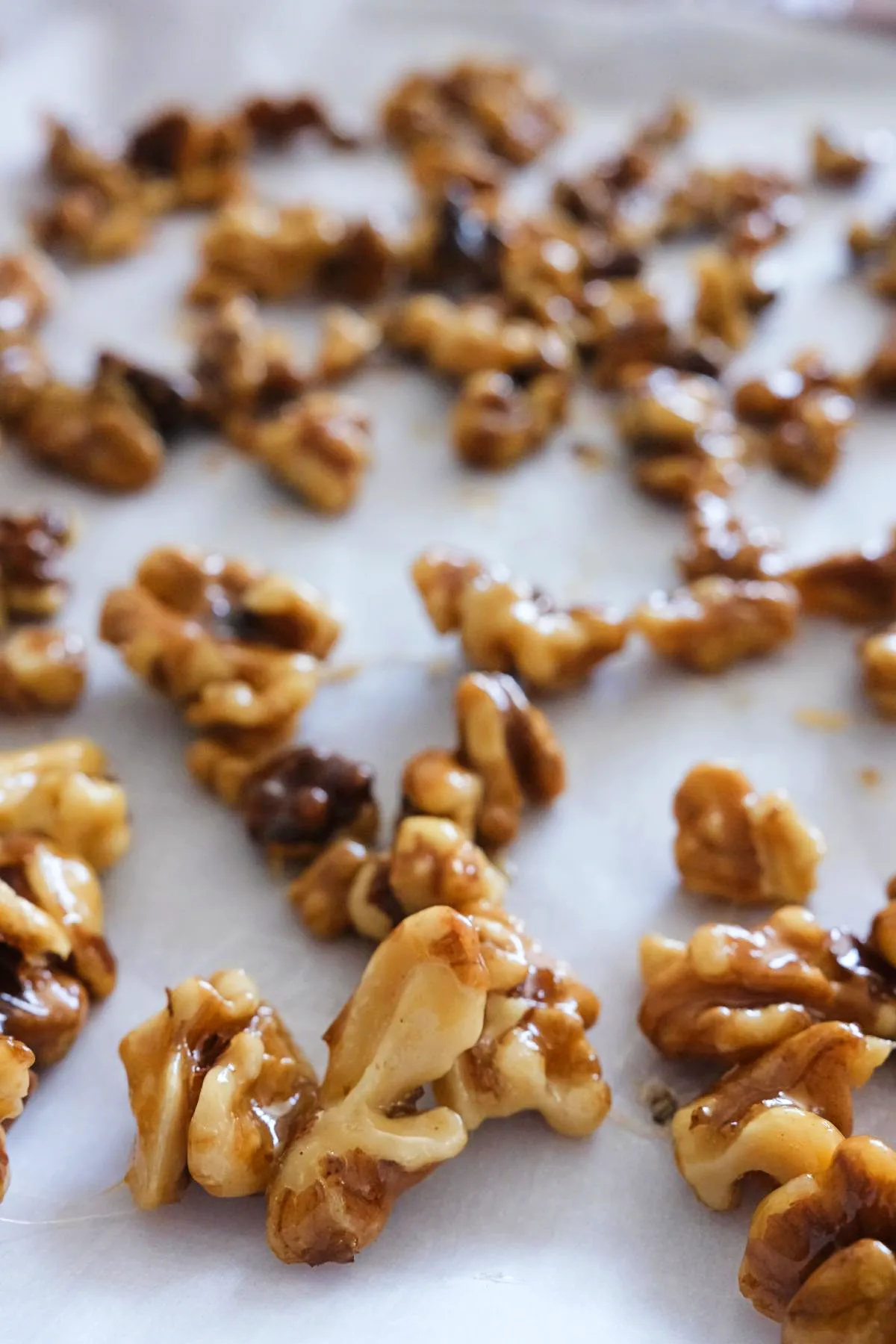 Homemade candied walnuts with a caramelized sugar coating ready for snacking or desserts.