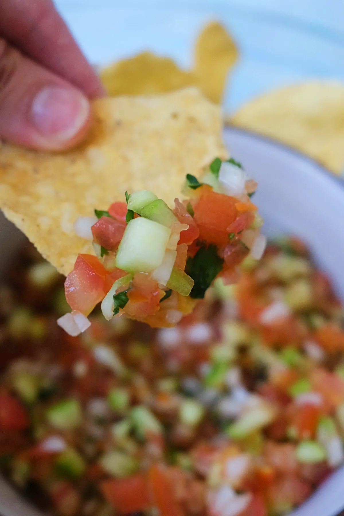 Tortilla chip scooping up fresh chunky salsa with tomatoes, cucumber, and onion.