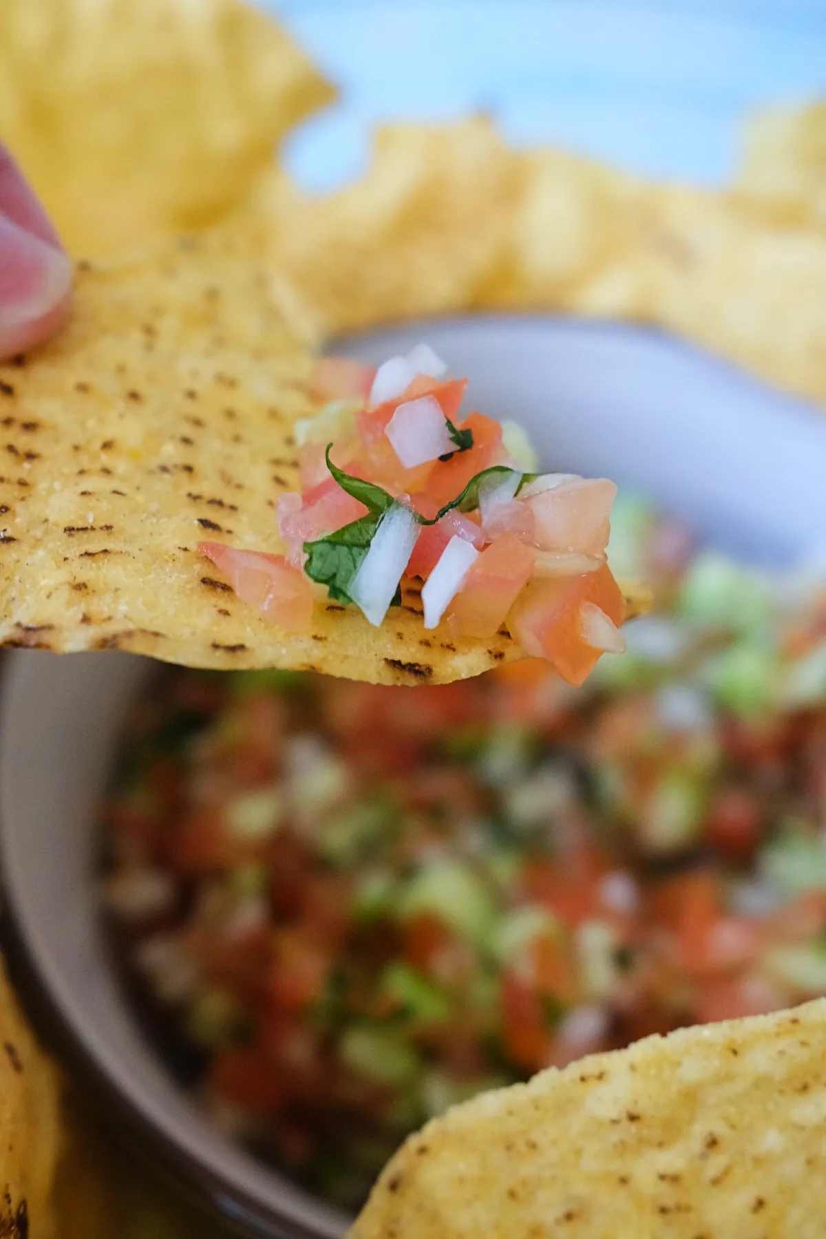 Hand holding a tortilla chip with homemade salsa.