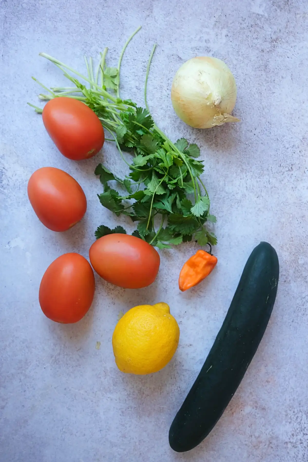 Fresh salsa ingredients including tomatoes, cucumber, onion, cilantro, lemon, and habanero pepper.